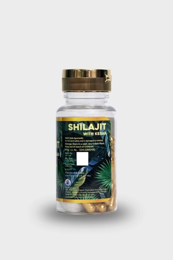 Best Shilajit Capsules